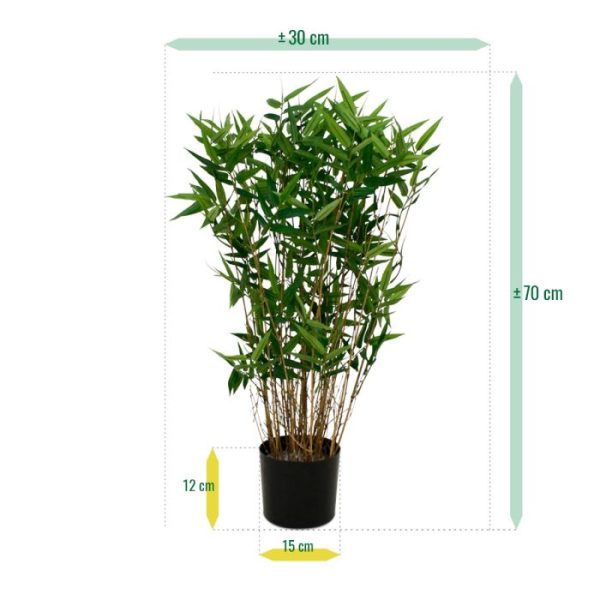 Oriental Bamboe 70 cm 3