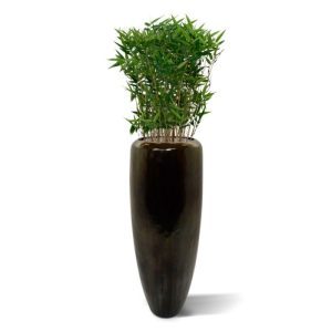 De Oriëntal Bamboe is de perfecte kunstplant voor in de vensterbank