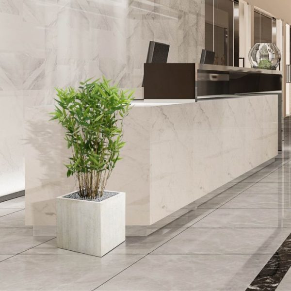 Oriental Bamboe 70 cm 5