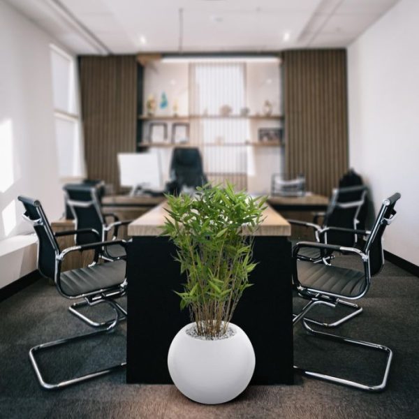 Oriental Bamboe 70 cm 9