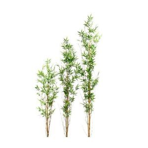 De Oriëntal Bamboe tak is de perfecte kunsttak om als basis te dienen voor vele toepassingen. De fijne bamboeblaadjes in combinatie met het echte bamboehout geven de plant een heel natuurlijk tintje mee. U brengt direct Oosterse sferen in elk interieur! De hoogte van de Oriëntal Kunstbamboe is ongeveer 120 cm en de diameter bedraagt ongeveer 30 cm. Standaard wordt de tak los geleverd zonder pot