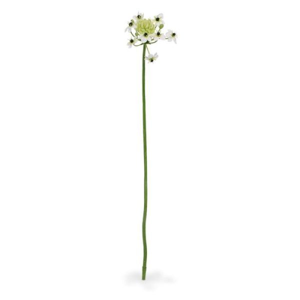 Ornithogalum Arabicum kunstbloem 72 cm wit 4