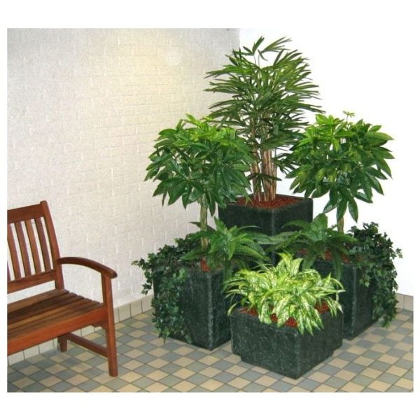 Pachira deluxe kunstplant 120 cm 9