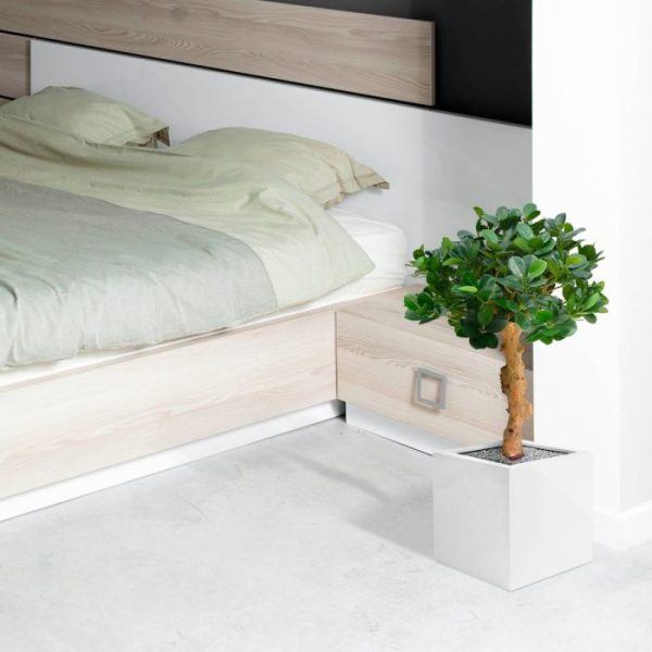 Panda-Bonsai-60-cm-op-voet-6 Panda Bonsai 60 cm op voet 6