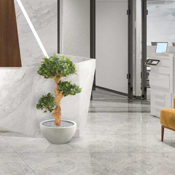 Panda-Bonsai-90-cm-x3-op-voet-6 Panda Bonsai 90 cm x3 op voet 6