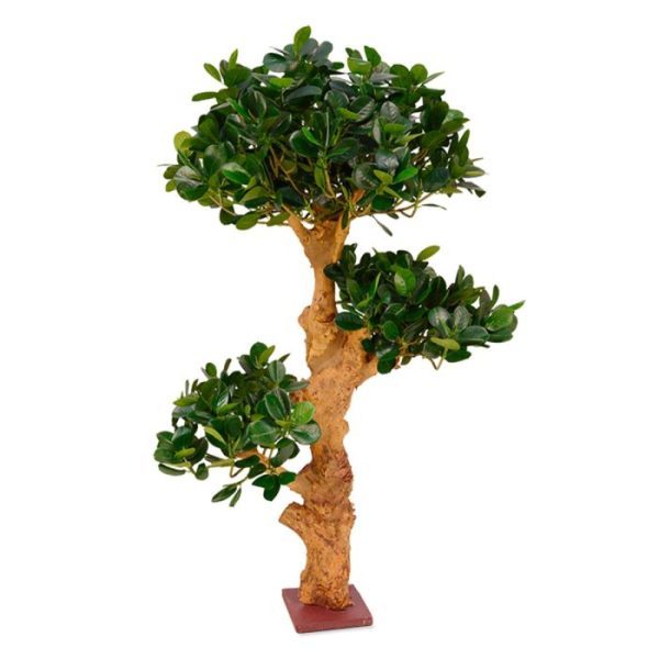 Panda-Bonsai-90-cm-x3-op-voet-8 Panda Bonsai 90 cm x3 op voet 8