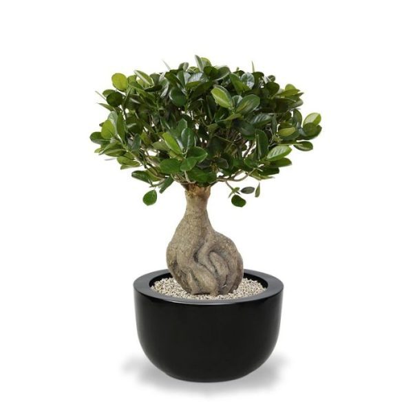 Panda kunst bonsai 55 cm 6