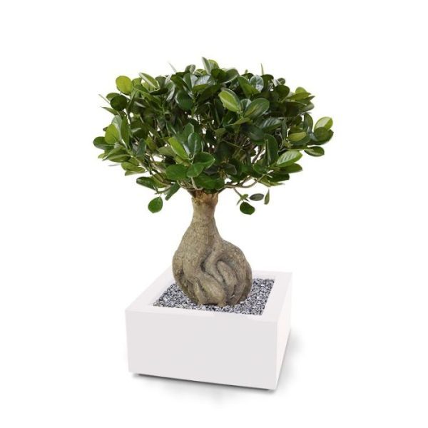 Voor wie van kwaliteit en exclusiviteit houdt