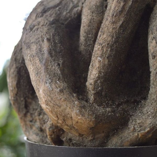 Panda kunst bonsai 55 cm 7