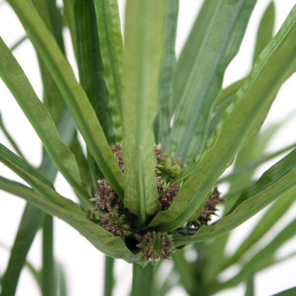 Papyrus-Deluxe-135-cm-kunstplant-5 Papyrus Deluxe 135 cm kunstplant 5