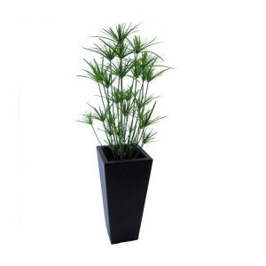 De speelse Papyrus is een mooie aanvulling op het assortiment kunstgras planten. Dit model heeft met maar liefst 33 zijscheuten een goed gevulde en natuurlijke uitstraling! Met een hoogte van ongeveer 115 cm kan de plant zowel op een hoge pot als in een mooie grote schaal gepresenteerd worden.  De Papyrus XL wordt in een standaard plastic binnen pot geleverd.