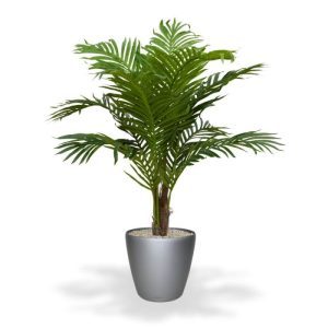 Met deze Paradize Palm Promo 100 cm maakt u in een handomdraai een tropische sfeer. Gezien zijn look is deze kunstpalm perfect geschikt om snel horeca gelegenheden mee in te richten tegen een betaalbare prijs. De kunstpalm uit het midden segment