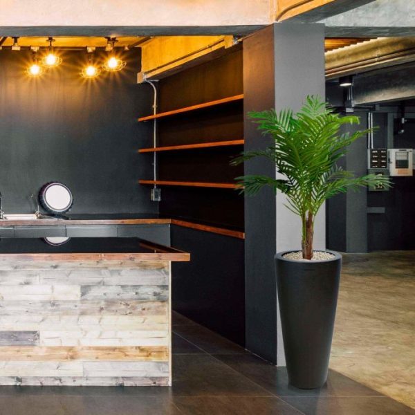 Paradize Kunstpalm Promo 100 cm 6