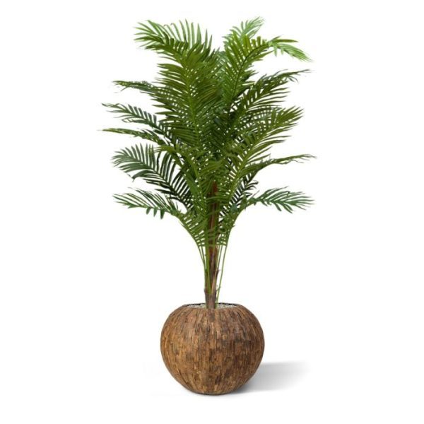 uit het midden segment