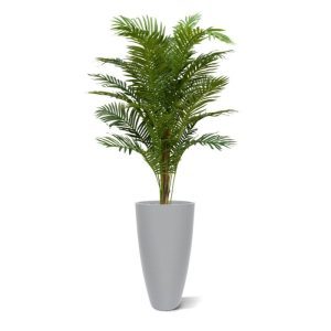 Met deze Paradize Palm Promo 180 cm maakt u in een handomdraai een tropische sfeer. Gezien zijn look is deze kunstpalm perfect om snel Horeca gelegenheden mee in te richten tegen een betaalbare prijs. De kunstpalm