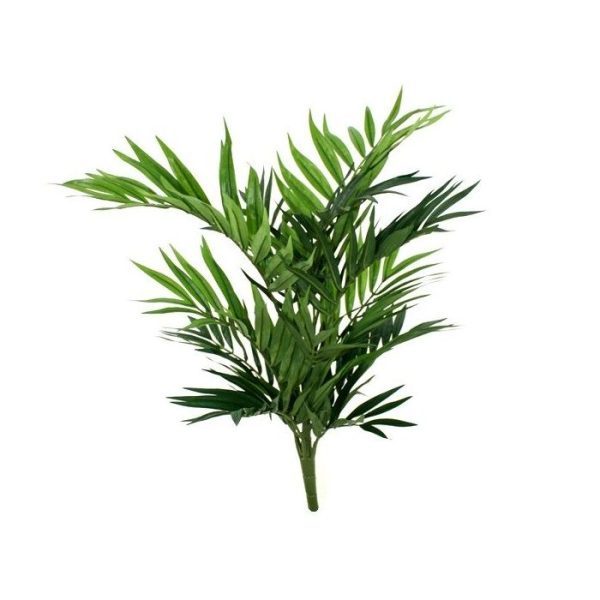 Plantenwand Parlour Palm boeket 50cm 2
