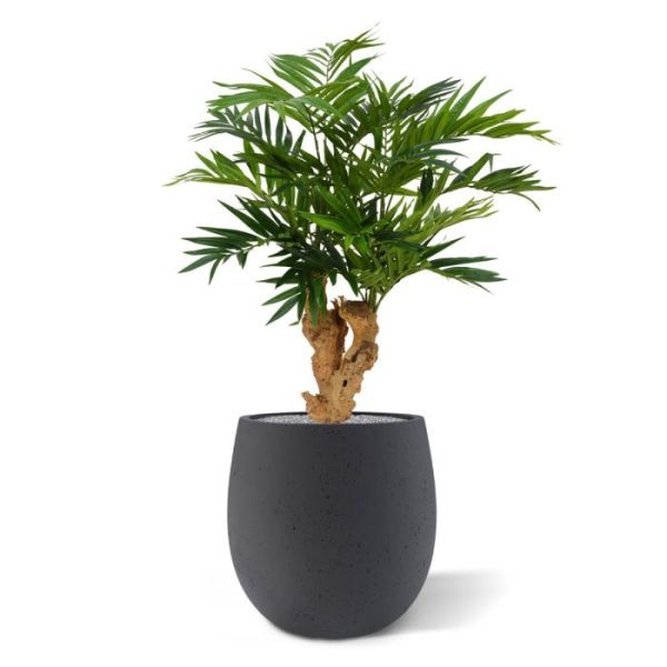 Kunstplanten gespleten houten stam en wordt geleverd op een houten voet van ongeveer 10x10cm. De hoogte is ongeveer 65 cm