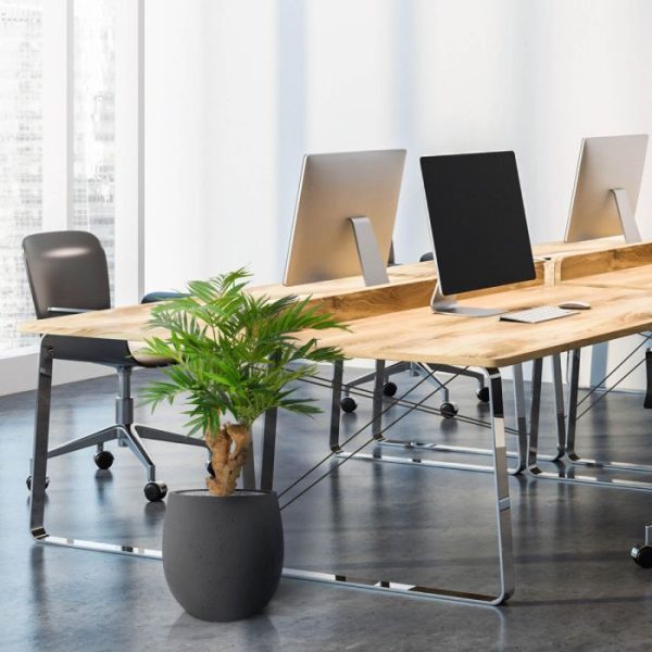 Parlour-kunstpalm-65-cm-op-voet-10 Parlour kunstpalm 65 cm op voet 10