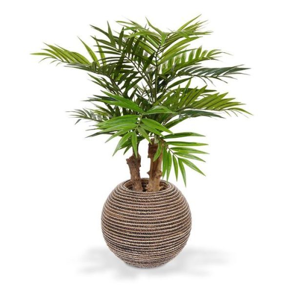 Parlour kunstpalm 65 cm op voet Deze prachtige Parlour Kunstpalm 65 cm is een echte tropische sfeermaker en past in vele interieurs! De vele fijne bladtakken en langwerpige kunstzijden blaadjes vormen een prachtige structuur en geven elk interieur een warme aanblik.   De kunstpalm staat op een grove