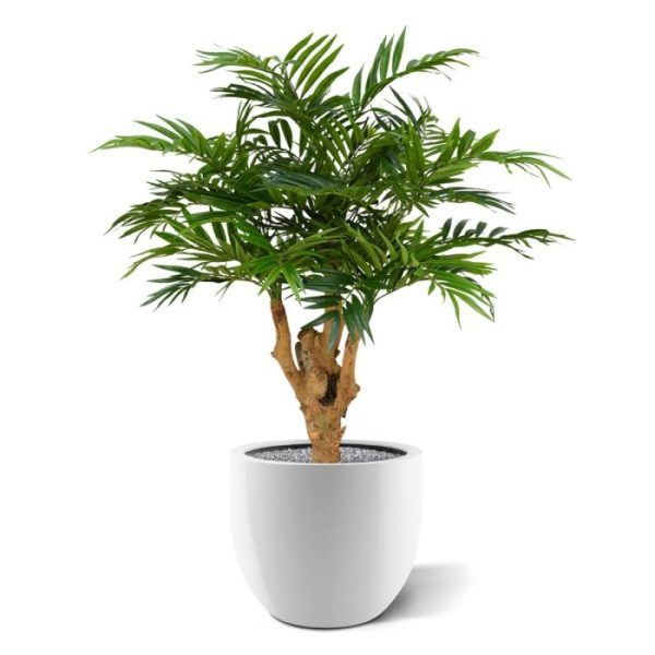 Parlour-kunstpalm-95-cm-op-voet-5 Parlour kunstpalm 95 cm op voet 5