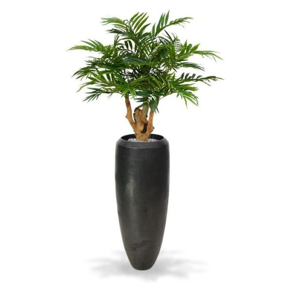 Parlour kunstpalm 95 cm op voet Deze prachtige Parlour Kunstpalm 95 cm is een echte tropische sfeermaker en past in vele interieurs! De vele fijne bladtakken en langwerpige kunstzijden blaadjes vormen een dichte structuur en geven elk interieur een warme aanblik. De kunstpalm staat op een grove