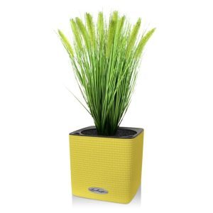 Dit kunstzijden Pennisetum Pluimgras boeket is perfect te gebruiken om plantenbakken en luxe schalen mee op te steken. Door zijn opbouw staat het pluimgras bijzonder goed op hoge potten