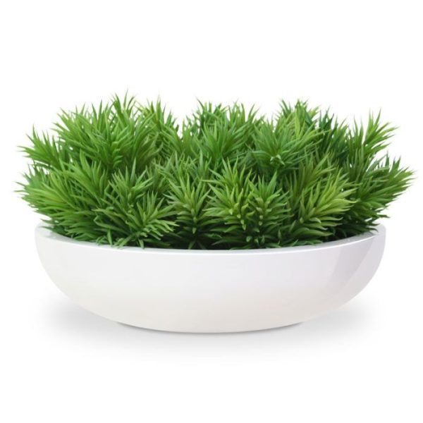 maar is ook als enkele plant bijzonder decoratief. Het kunstplantje is gemaakt van een hoogwaardige kunststof soort en meet ongeveer 20 cm in diameter en heeft