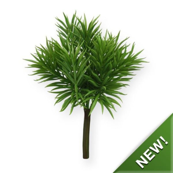 Peperomia Happy Bean boeket 5