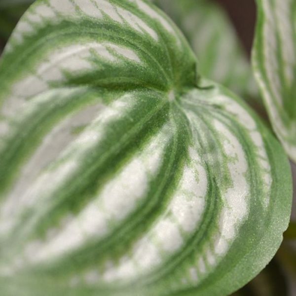 Peperomia-kunstplant-boeket-30-cm-3 Peperomia kunstplant boeket 30 cm 3
