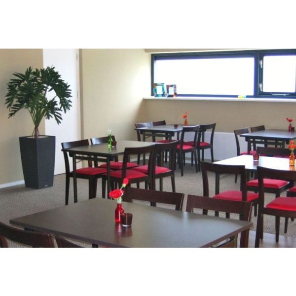 Philo-Selloum-130cm-8 Philo Selloum 130cm 8