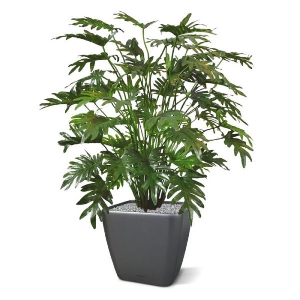 Groene kunstplanten Philo Xanadu deluxe kunstplant 110 cm 2