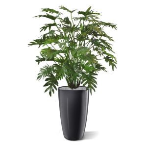 Nieuw - Philo Xanadu deluxe kunstplant 110 cm