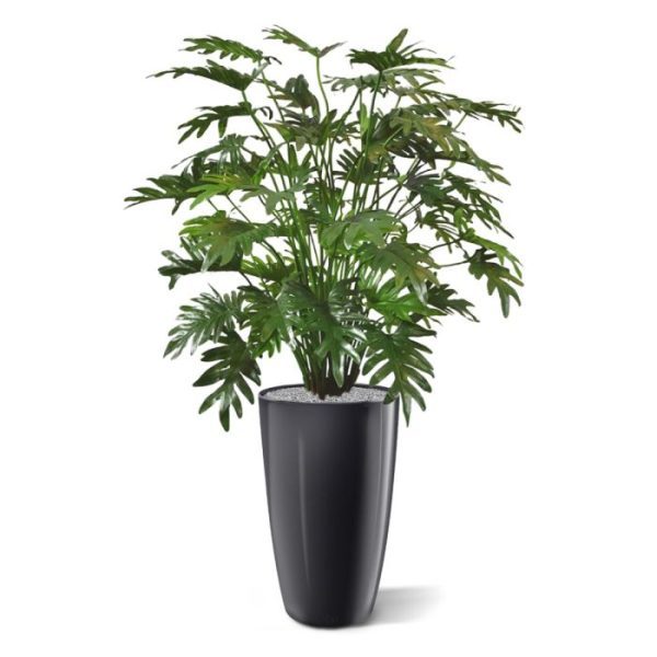 Philo Xanadu deluxe kunstplant 110 cm Nieuw - Philo Xanadu deluxe kunstplant 110 cm