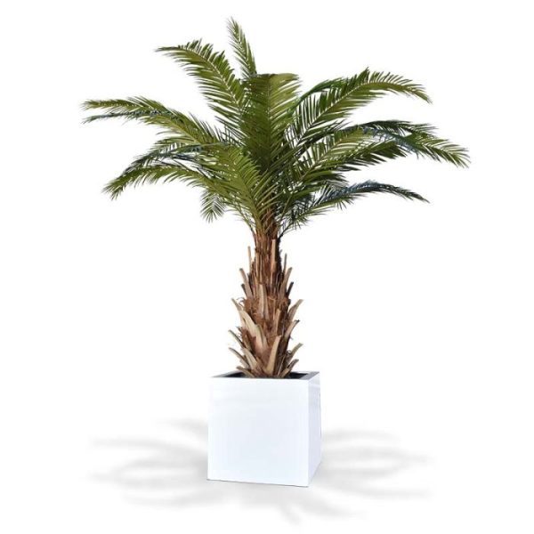 Phoenix Canarie kunstpalm XXL 300 cm op voet 5