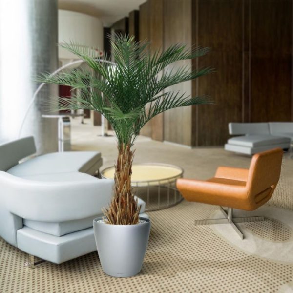 Phoenix-Kunstpalm-Deluxe-180-cm-10 Phoenix Kunstpalm Deluxe 180 cm 10
