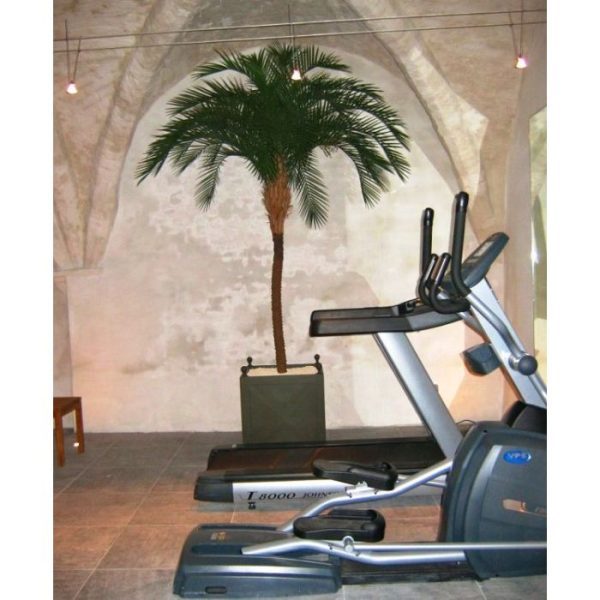 van het type Phoenix