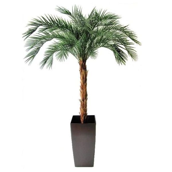 van het type Phoenix