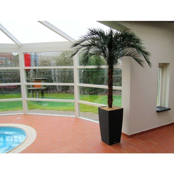 Phoenix Kunstpalm OD Deluxe 225 cm 10
