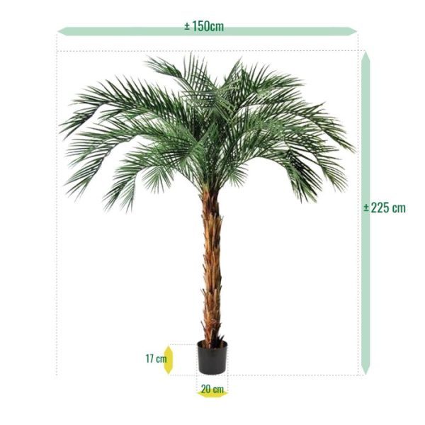 Phoenix Kunstpalm OD Deluxe 225 cm 5