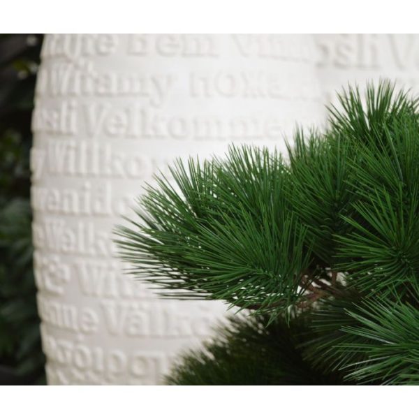 spreekt bijzonder tot de verbeelding. Het is een prachtige decoratie!  De Pinus Bonsai kunstplant wordt standaard geleverd zonder pot