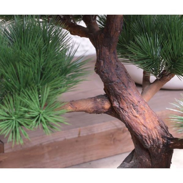 Pinus Bonsai x5 Deluxe 80 cm op voet 7