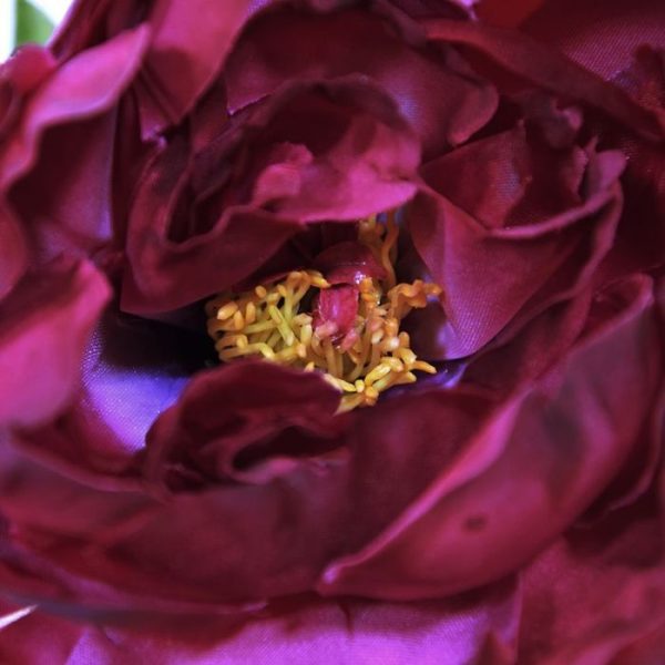 Kunstbloemen in de maanden mei en juni. Wilt u zo graag het hele jaar door van deze prachtige rozensoort genieten? Dan kan