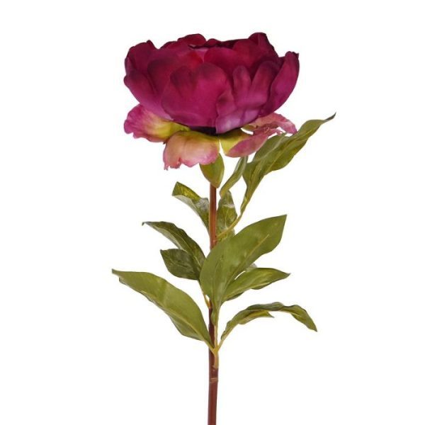 Kunst steelbloemen met de kunst Pioenroos deluxe 55 cm cerise! De kunstbloem wordt standaard als losse steel geleverd. De pioen heeft weinig nodig om een eyecatcher in uw interieur te vormen. Laat 'm solo stralen in een vaas of verwerk hem tot een prachtig boeket