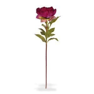 Deze kersenroze kunst Pioentak deluxe is bijna niet van echt te onderscheiden. De pioenroos is werkelijk verbluffend mooi en sinds jaar en dag een ontzettend populaire bloem. De meeste soorten bloeien slechts alleen in het voorjaar