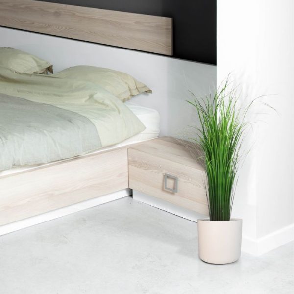 Pluimgras 50cm op voet 8