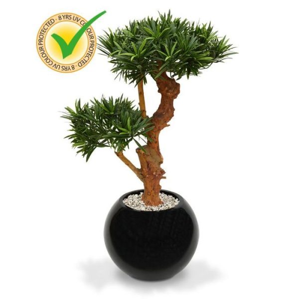 vooral als u een Oosterse touch in huis wilt halen! De replica Bonsai is opgebouwd uit 2 bladkronen met in totaal ruim 1600 fijne Podocarpus blaadjes. De robuuste echt houten stronk maakt deze Podocarpus extra bijzonder: een must have voor de echte Bonsai liefhebber! De totale hoogte van de Podocarpus is ongeveer 70 cm en de diameter van de bovenste kroon is zo'n 40 cm. De Bonsai wordt geleverd op een houten voetje
