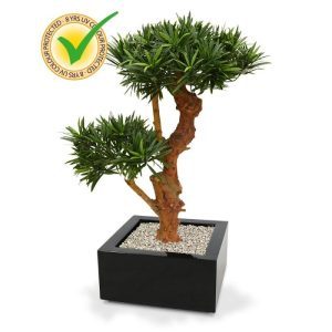 Deze uv bestendige kunststof Podocarpus Bonsai is een geweldige decoratie voor de vensterbank of op een dressoir of balie. Ook als solitaire plant in een hogere pot is de Podocarpus Bonsai een echte aanwinst voor uw interieur