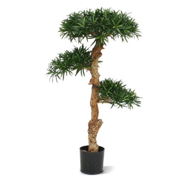 Podocarpus Kunst Bonsai 120 cm 3