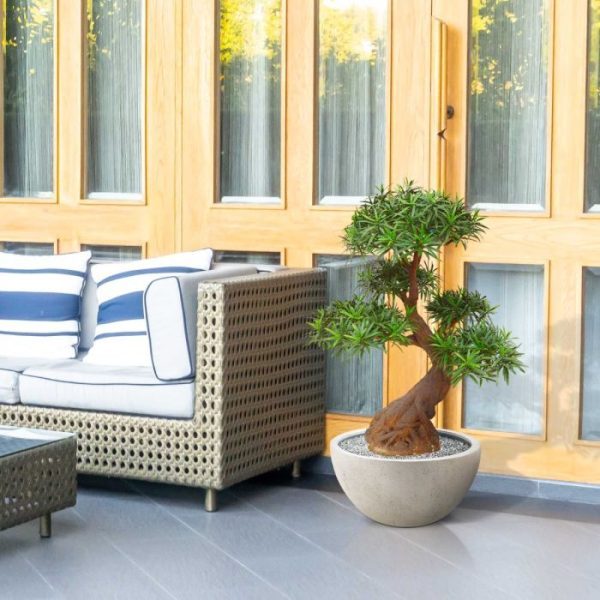 Podocarpus kunst Bonsai 90 cm UV 7