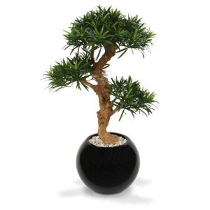 Deze kunstzijden Podocarpus Bonsai is een geweldige decoratie voor op een mooi dressoir of balie. Ook als solitaire plant in een mooie schaal is de Podocarpus Bonsai een echte aanwinst voor uw interieur
